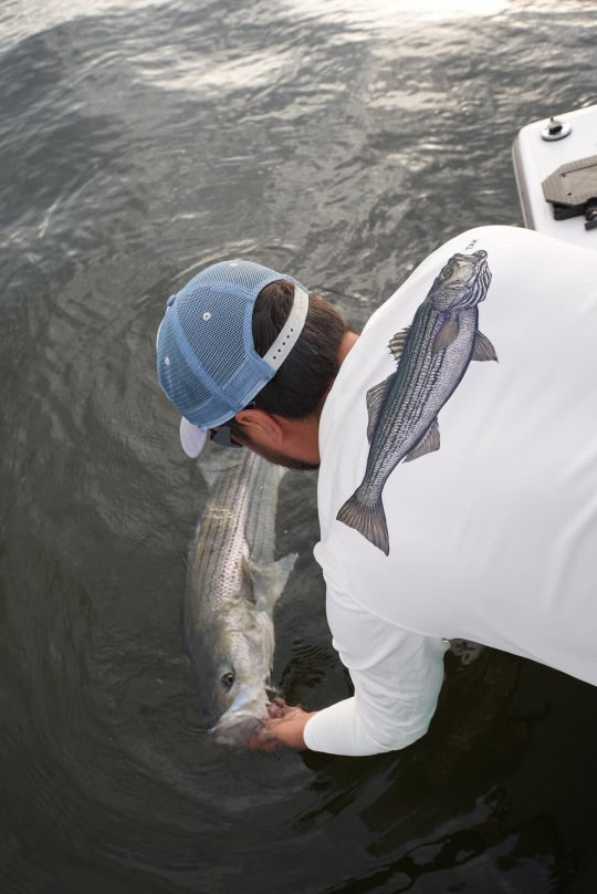 Greenhead | Solar Tech | Sandbar