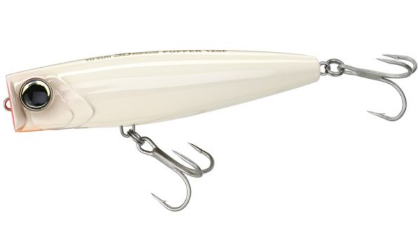 Yo-Zuri | 3D INSHORE POPPER